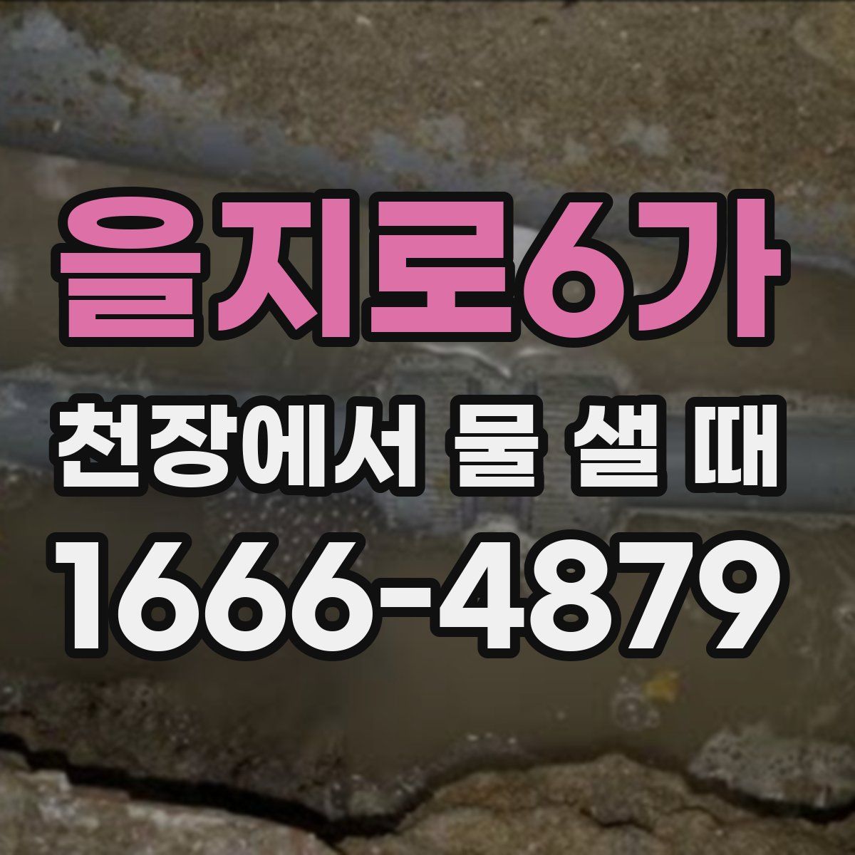 을지로6가 천장에서 물 샐 때