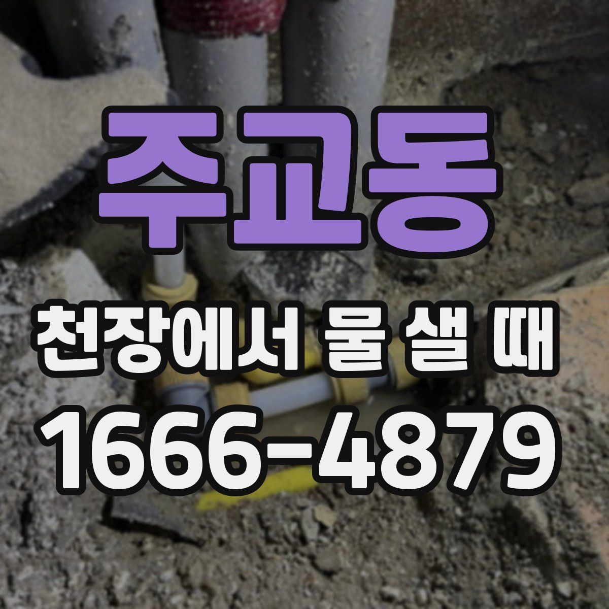 주교동 천장에서 물 샐 때