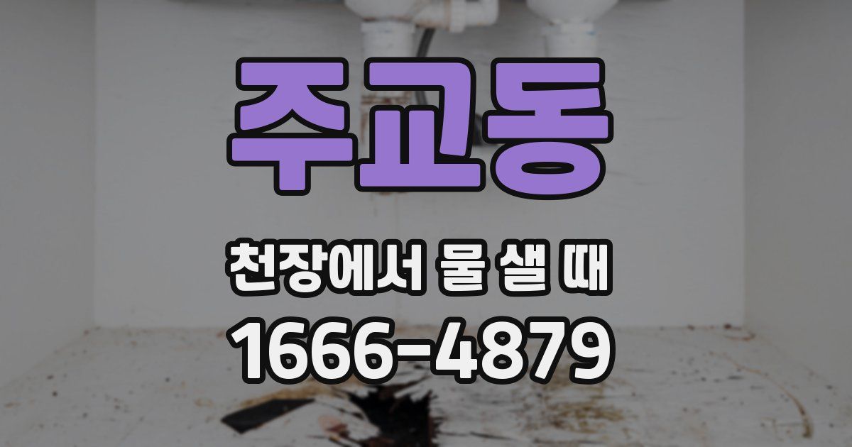 주교동 천장에서 물 샐 때
