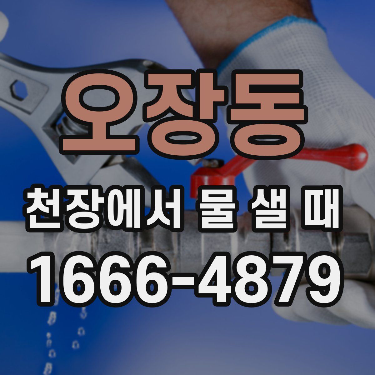 오장동 천장에서 물 샐 때