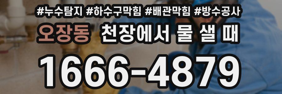 오장동 천장에서 물 샐 때