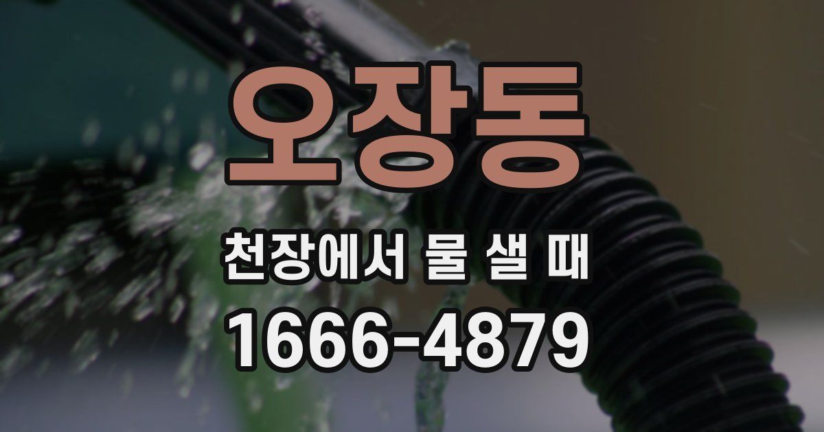 오장동 천장에서 물 샐 때