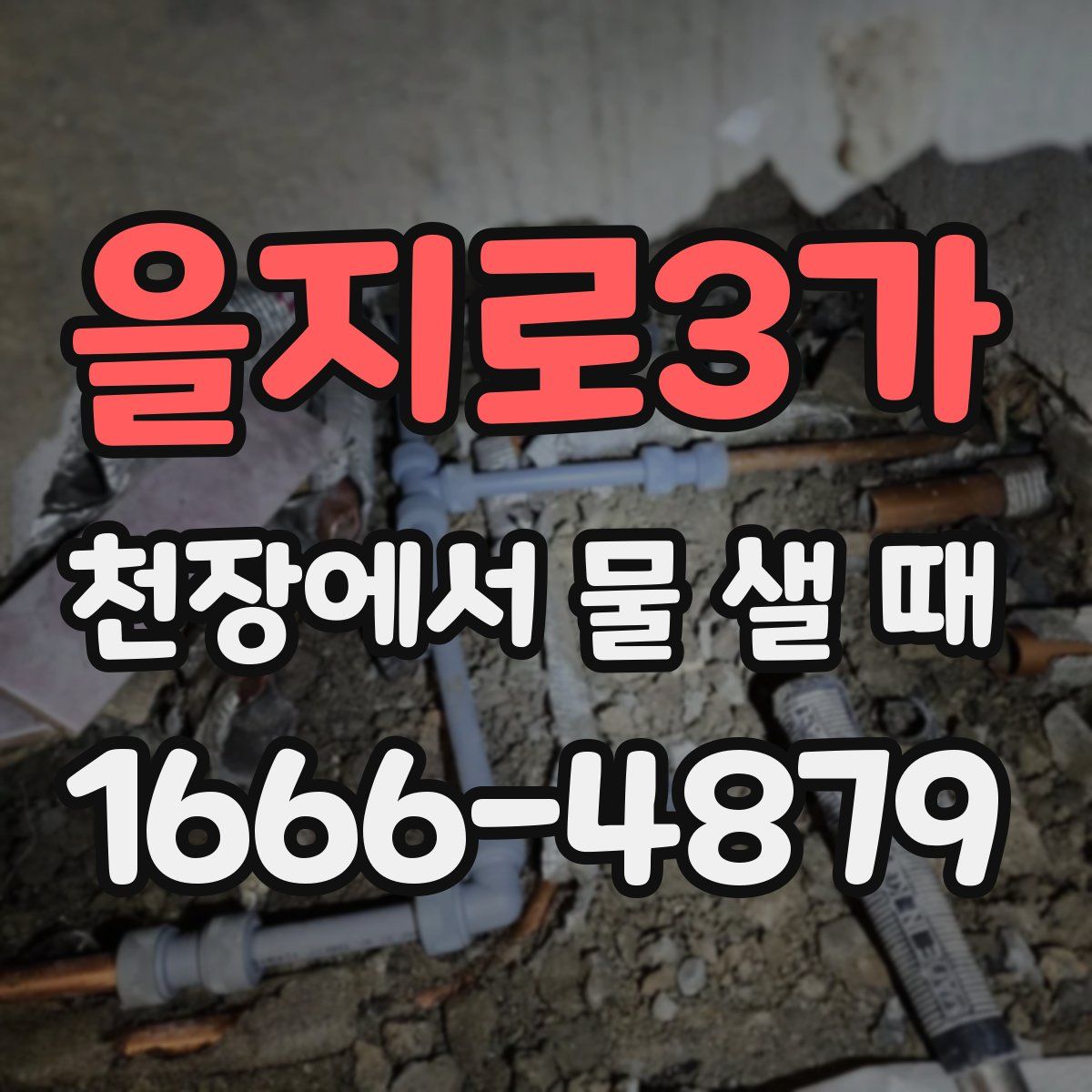 을지로3가 천장에서 물 샐 때