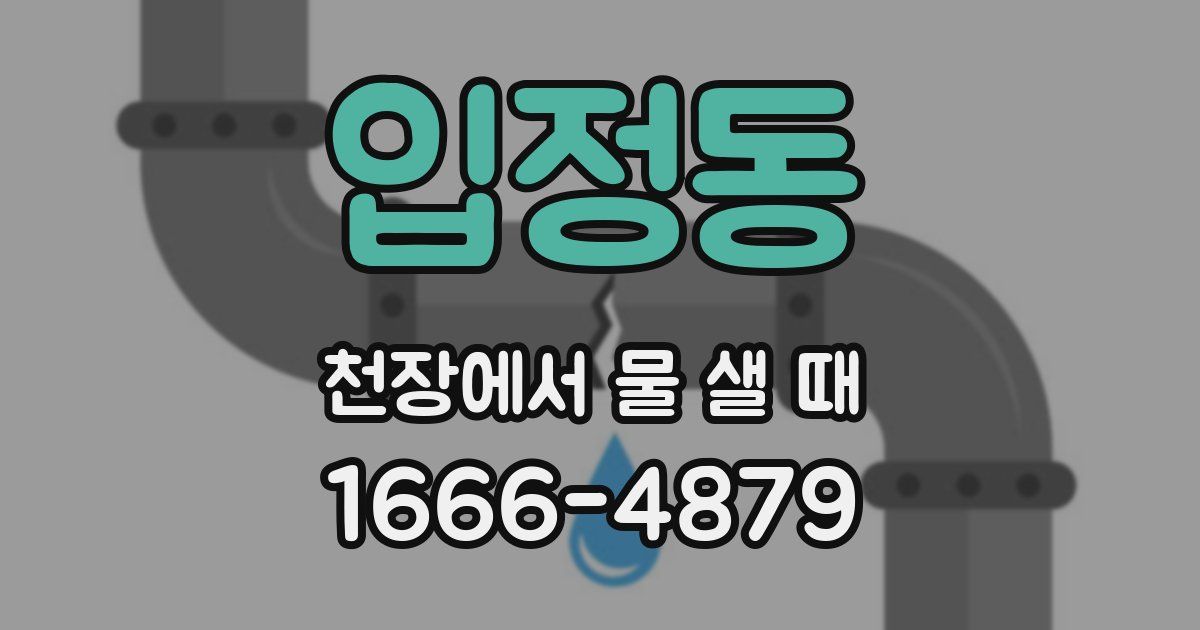 입정동 천장에서 물 샐 때