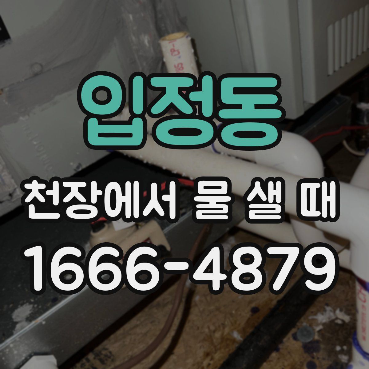 입정동 천장에서 물 샐 때