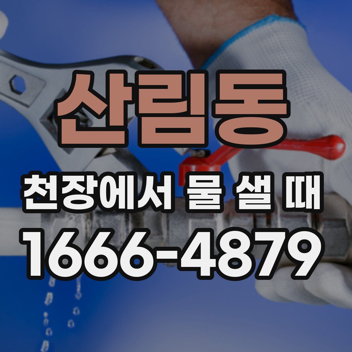 산림동 천장에서 물 샐 때