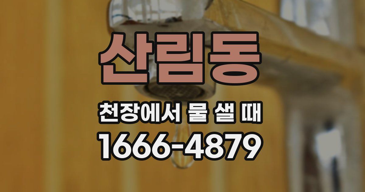 산림동 천장에서 물 샐 때