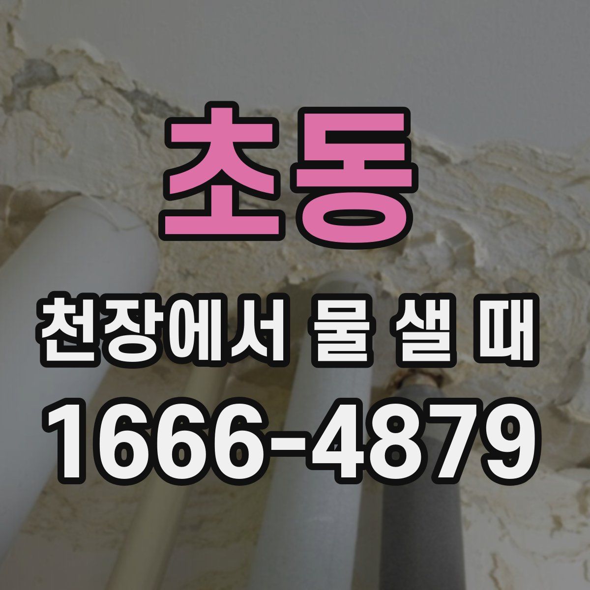 초동 천장에서 물 샐 때