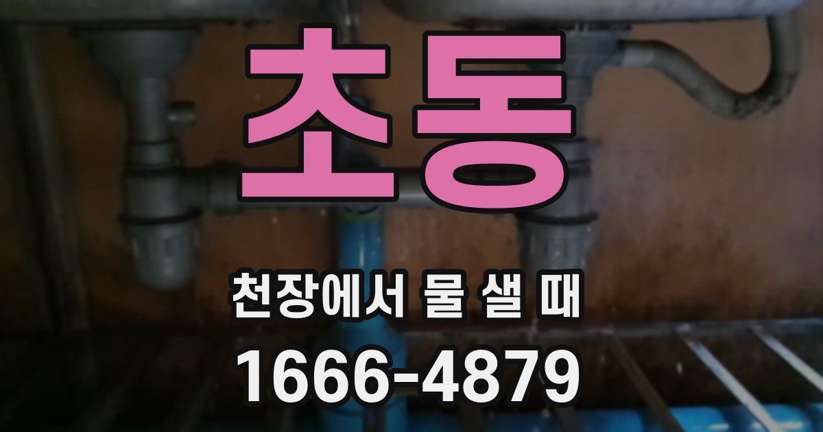 초동 천장에서 물 샐 때