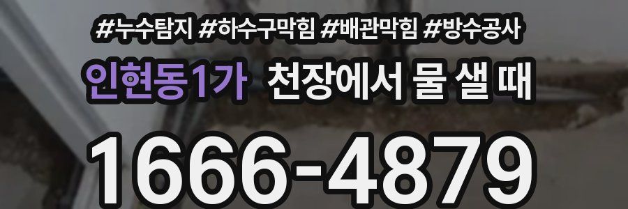 인현동1가 천장에서 물 샐 때