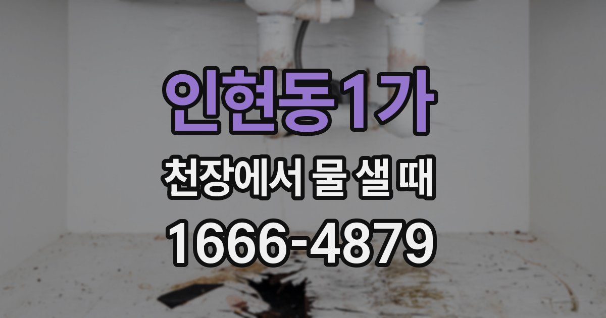 인현동1가 천장에서 물 샐 때