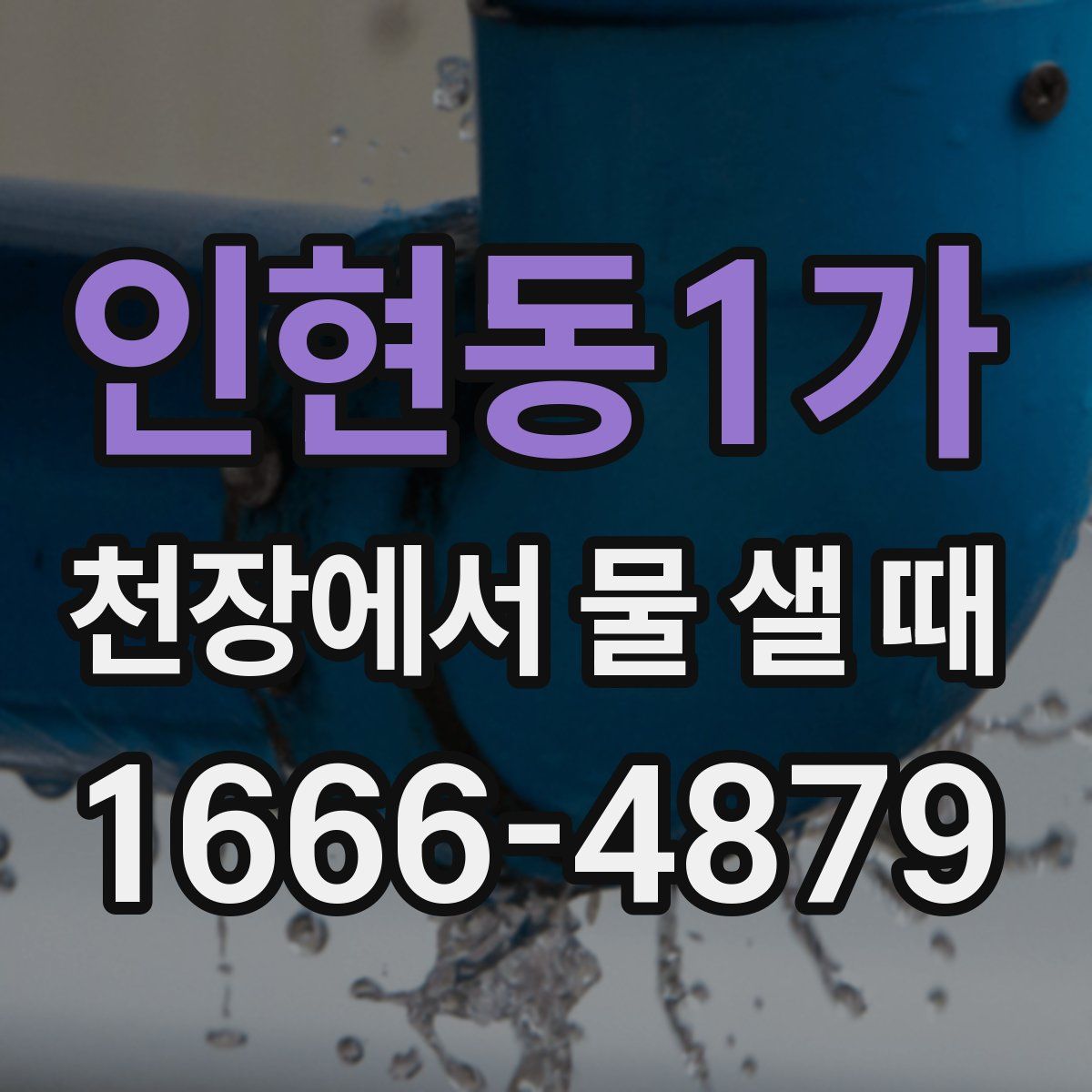 인현동1가 천장에서 물 샐 때