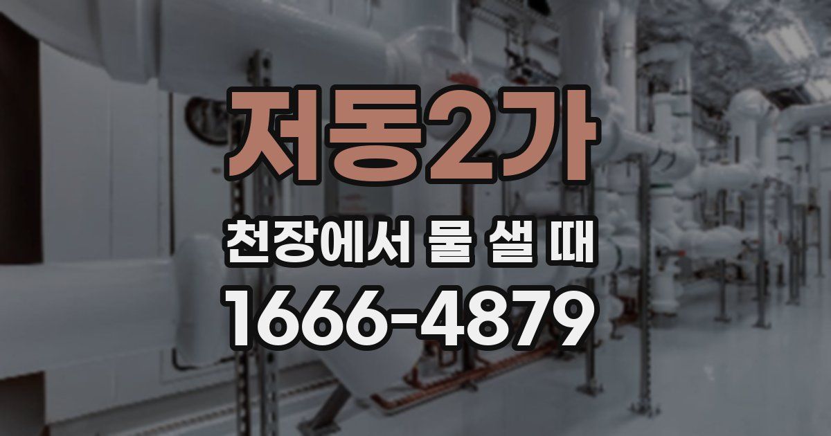 저동2가 천장에서 물 샐 때