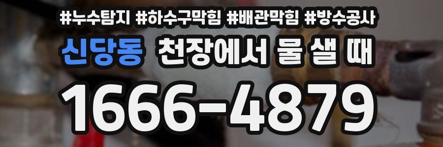 신당동 천장에서 물 샐 때