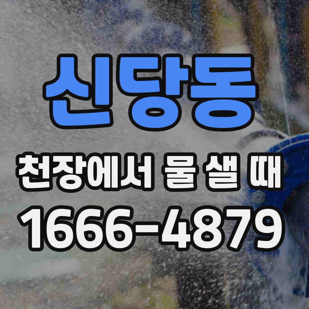 신당동 천장에서 물 샐 때