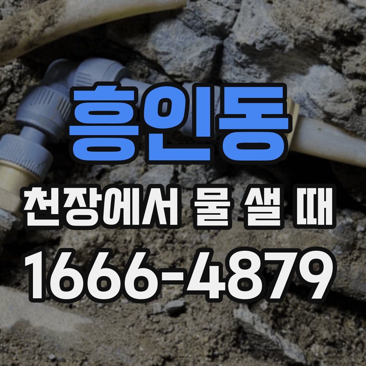 흥인동 천장에서 물 샐 때