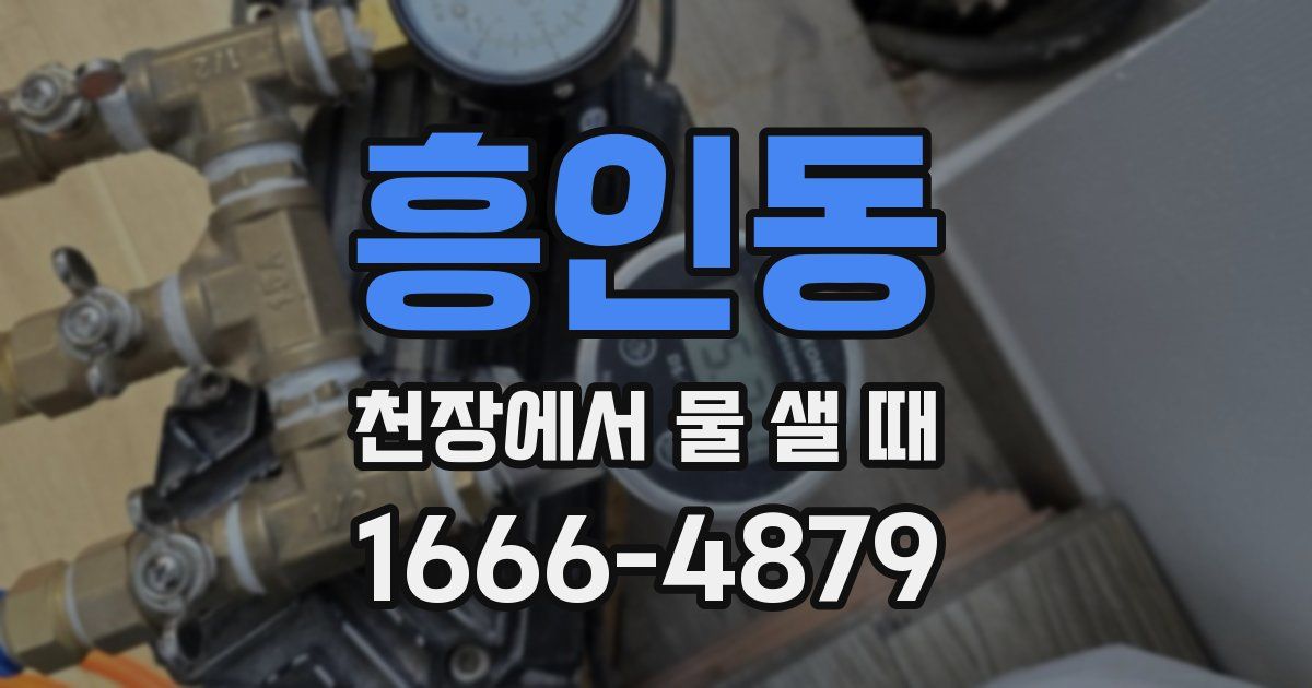 흥인동 천장에서 물 샐 때