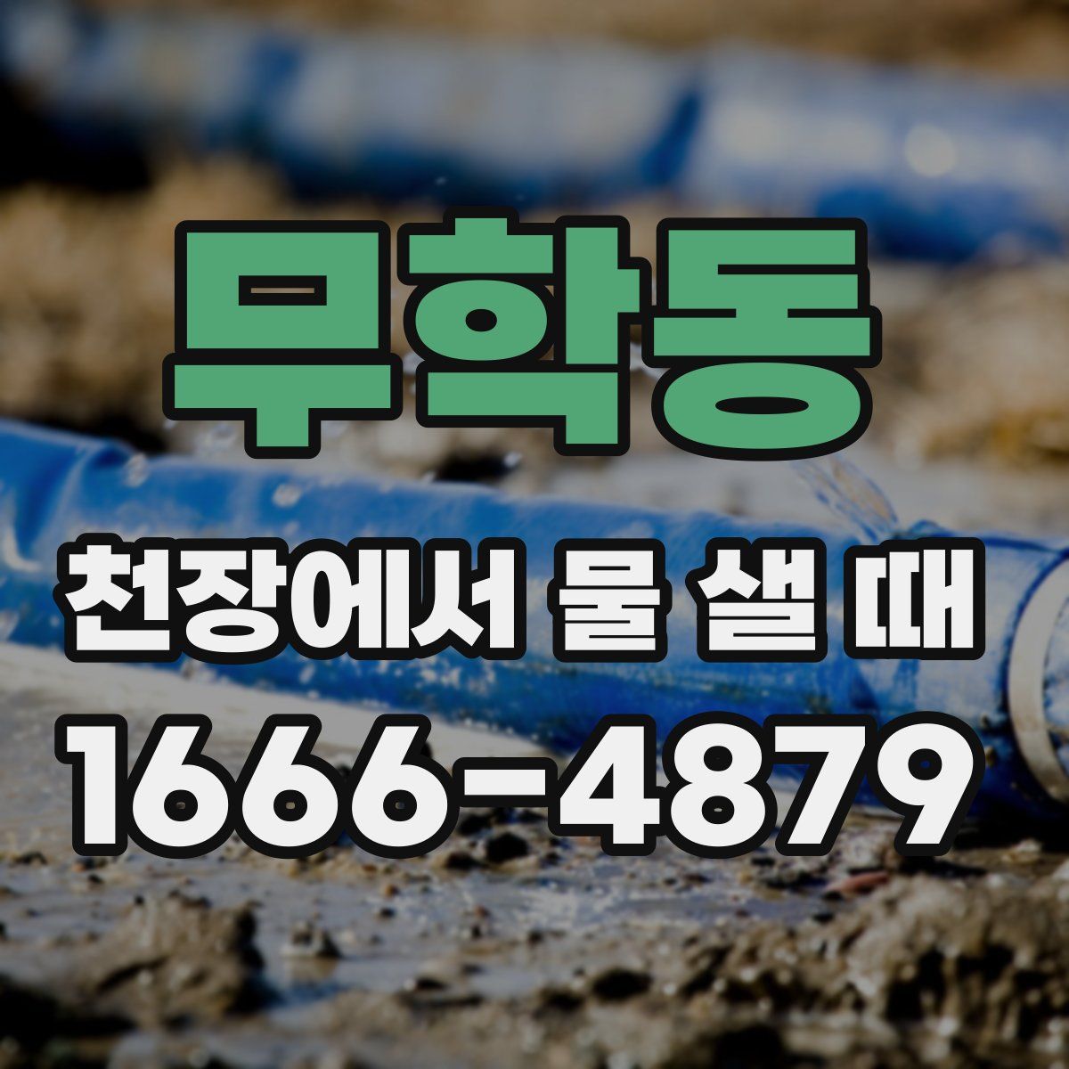 무학동 천장에서 물 샐 때