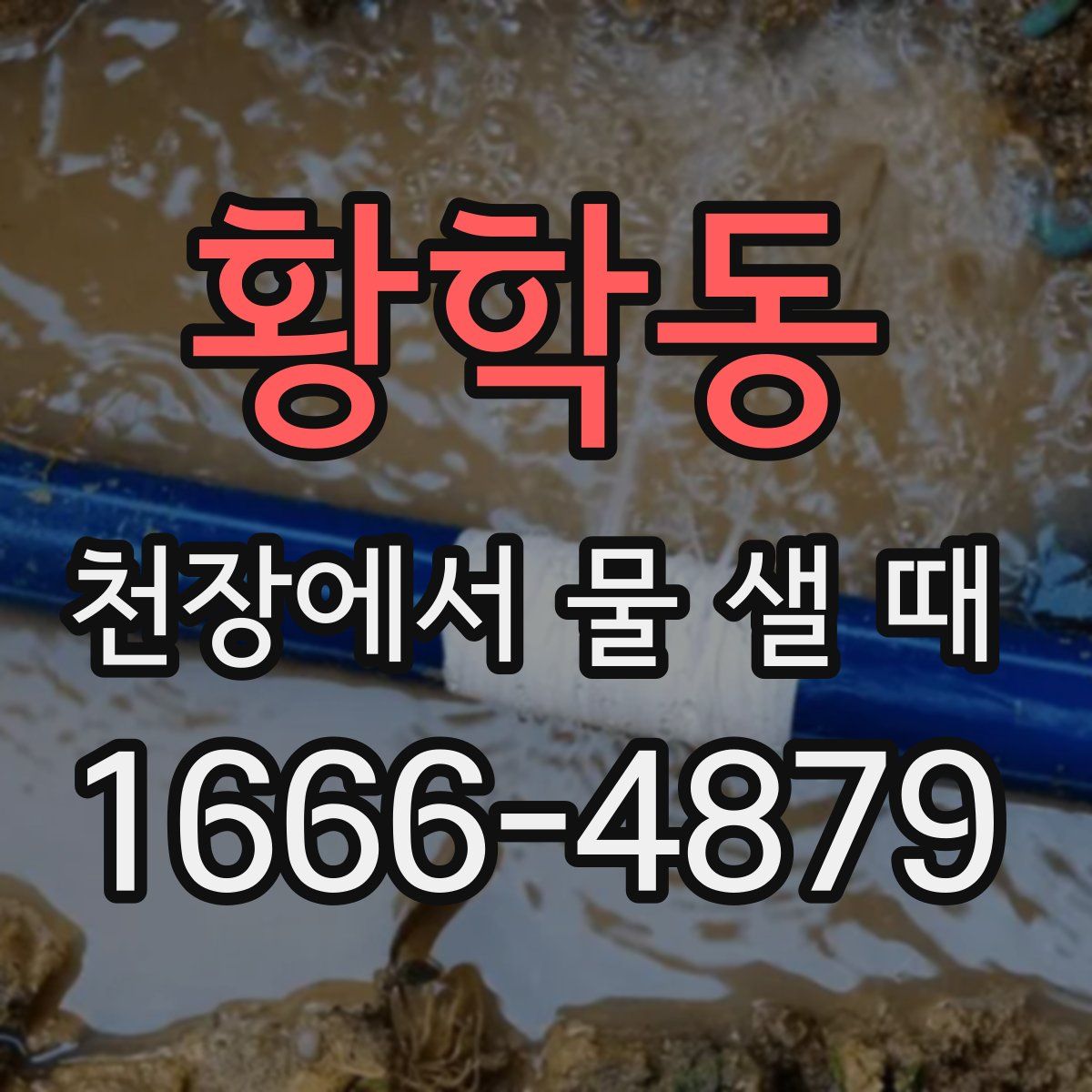 황학동 천장에서 물 샐 때