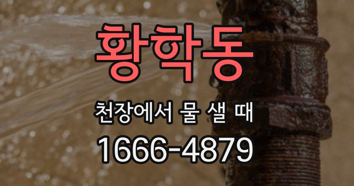 황학동 천장에서 물 샐 때
