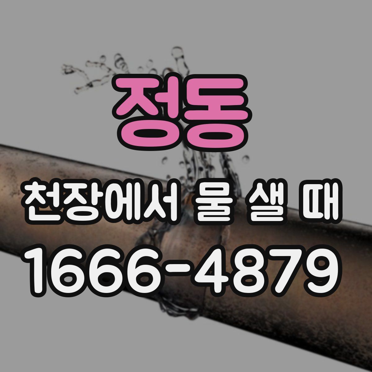 정동 천장에서 물 샐 때