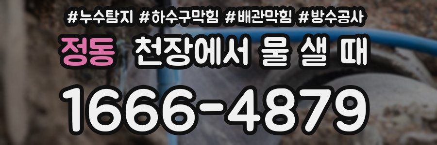 정동 천장에서 물 샐 때