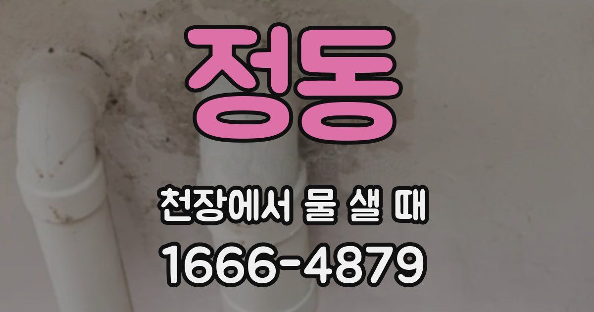 정동 천장에서 물 샐 때