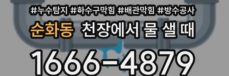 순화동 천장에서 물 샐 때