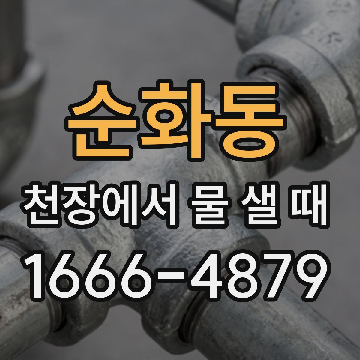 순화동 천장에서 물 샐 때