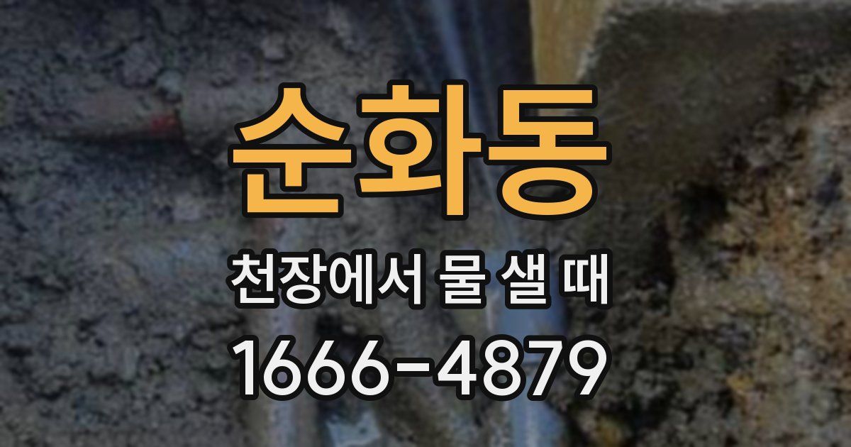 순화동 천장에서 물 샐 때