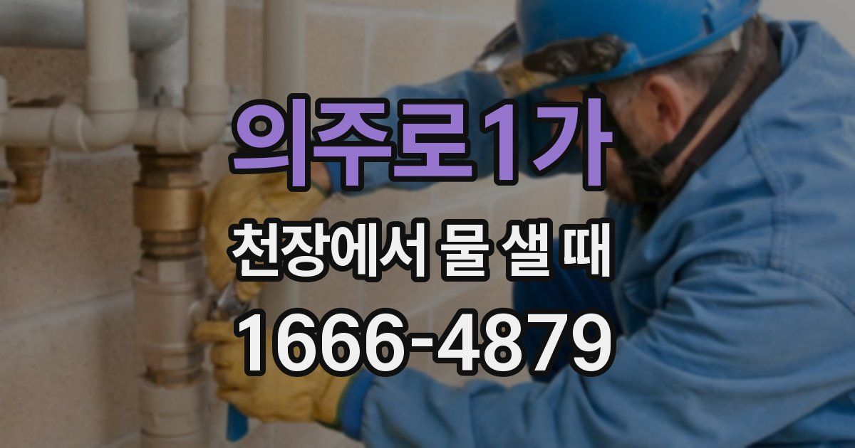 의주로1가 천장에서 물 샐 때