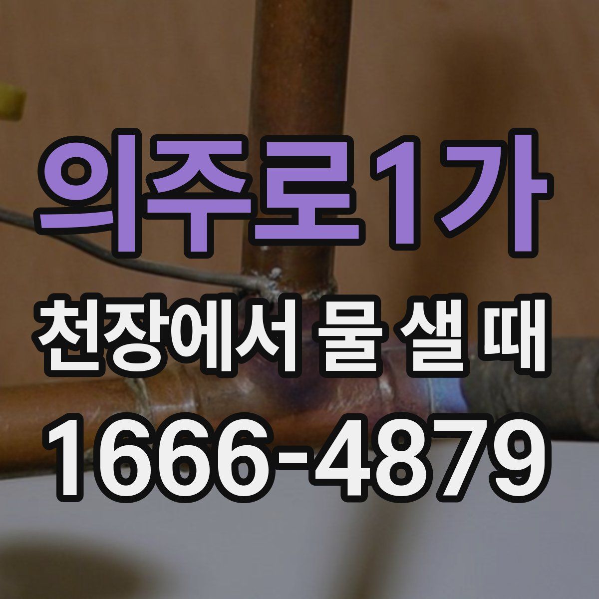 의주로1가 천장에서 물 샐 때