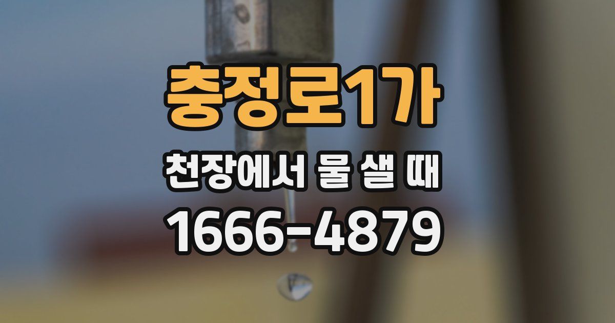 충정로1가 천장에서 물 샐 때