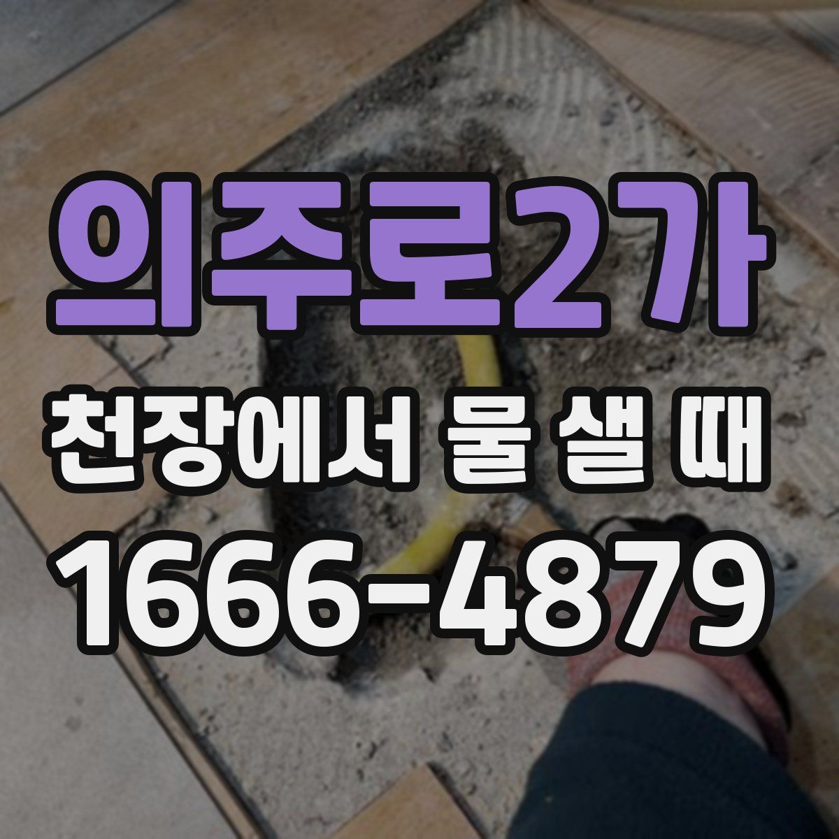 의주로2가 천장에서 물 샐 때