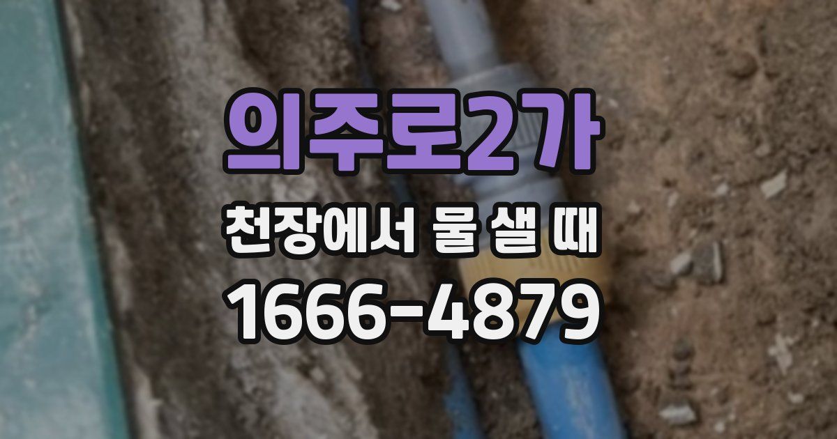 의주로2가 천장에서 물 샐 때