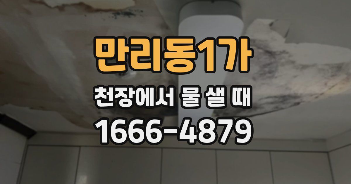 만리동1가 천장에서 물 샐 때