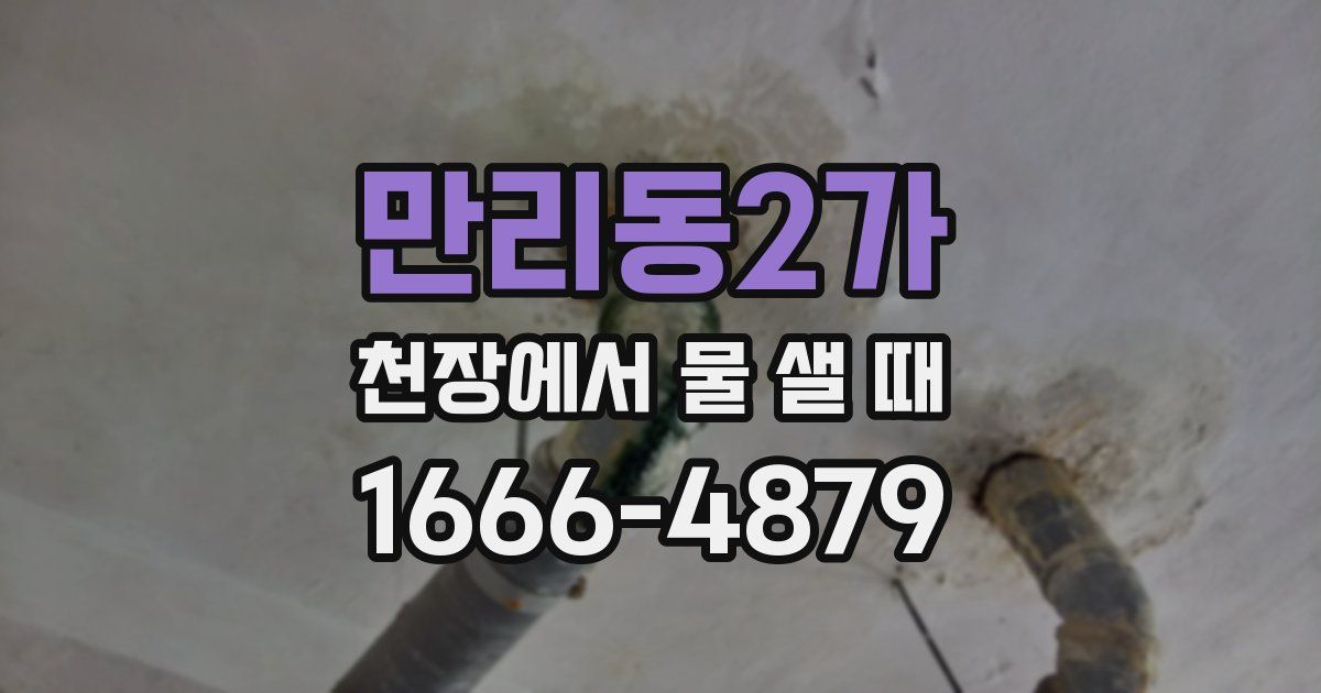 만리동2가 천장에서 물 샐 때
