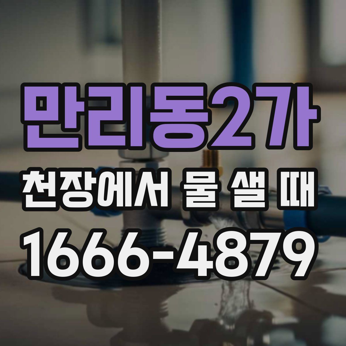 만리동2가 천장에서 물 샐 때