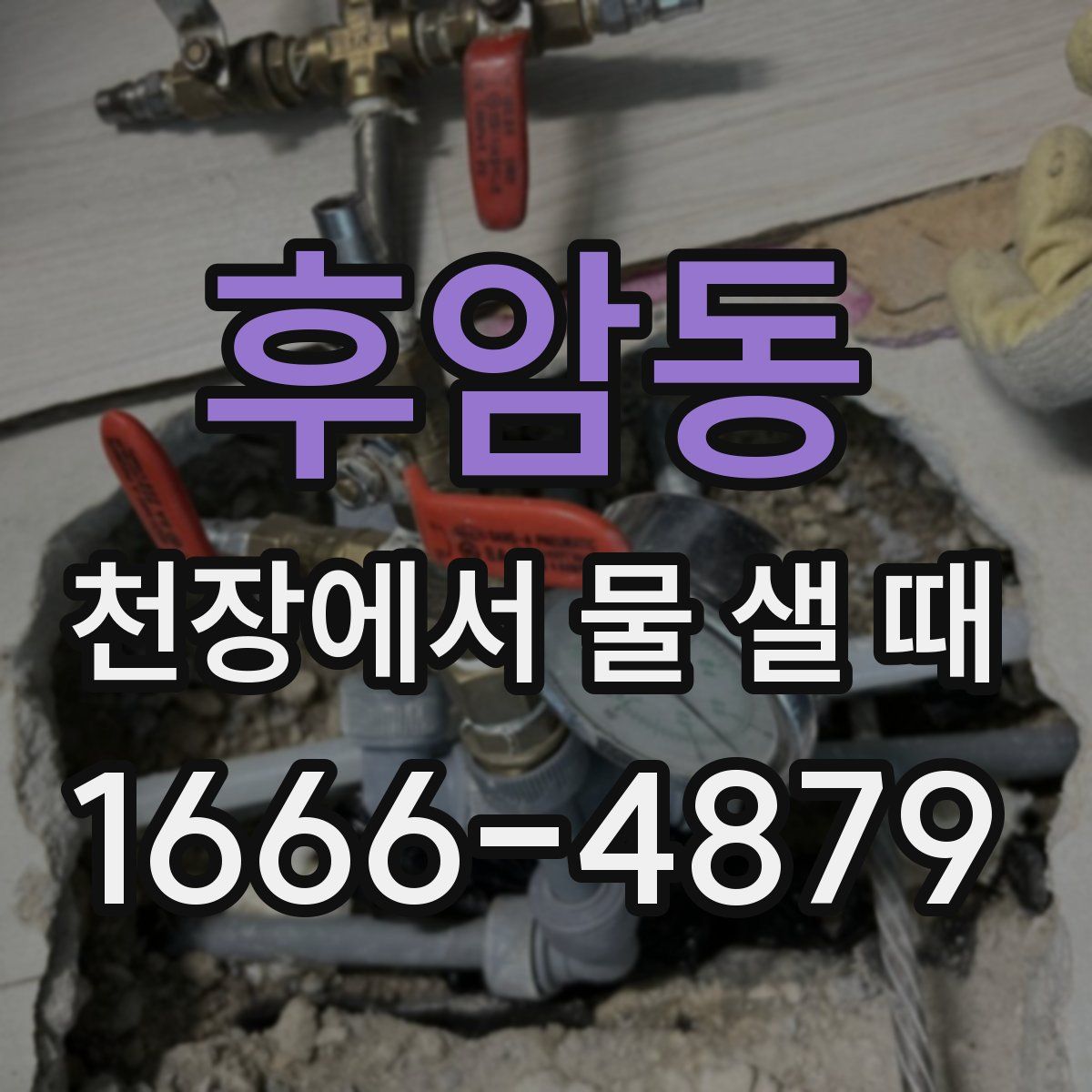 후암동 천장에서 물 샐 때