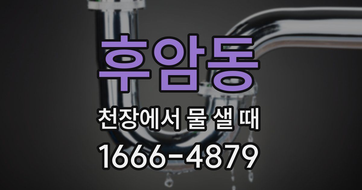 후암동 천장에서 물 샐 때