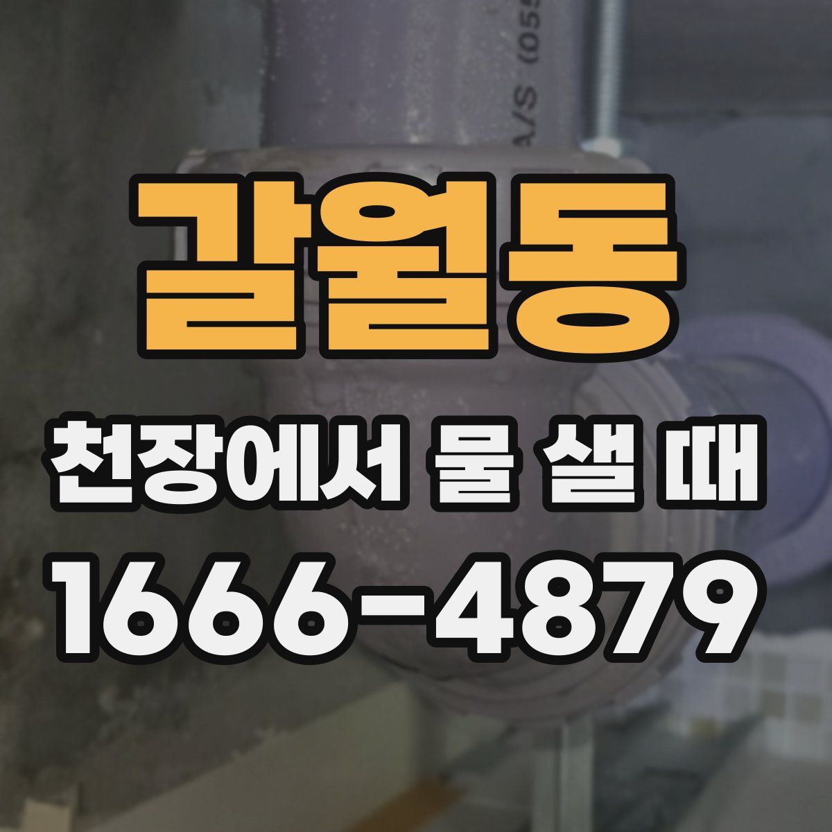 갈월동 천장에서 물 샐 때