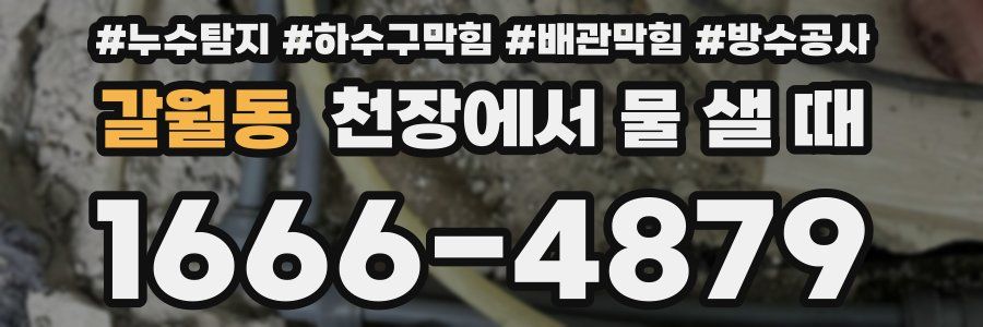 갈월동 천장에서 물 샐 때