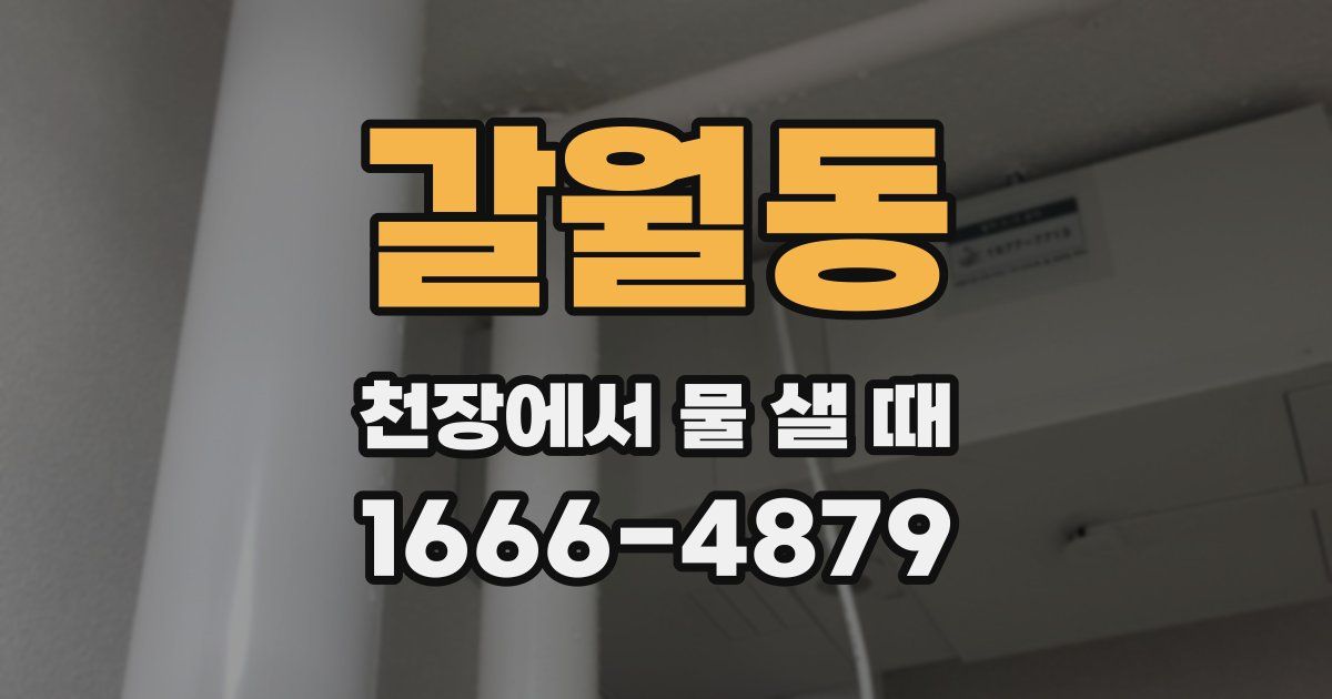 갈월동 천장에서 물 샐 때