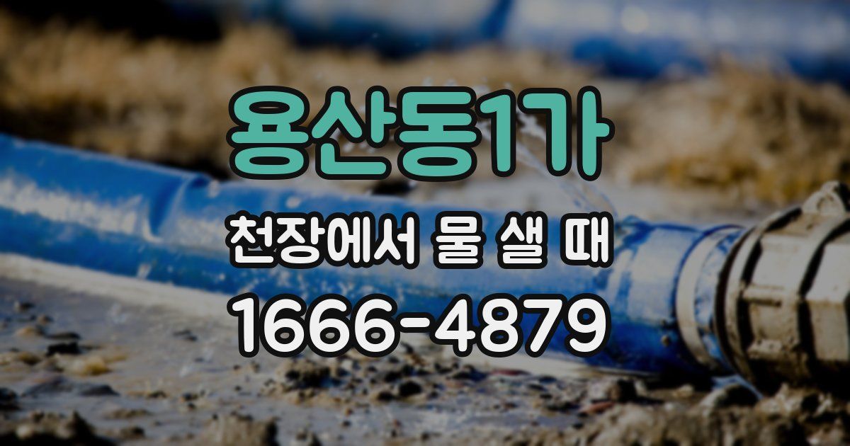 용산동1가 천장에서 물 샐 때