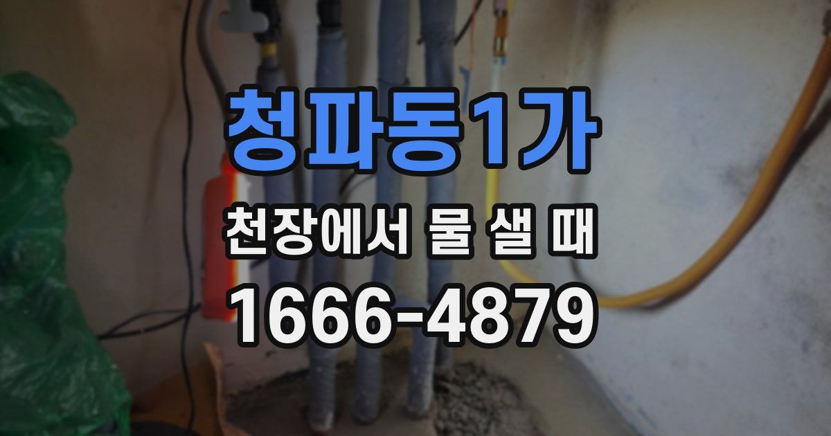 청파동1가 천장에서 물 샐 때
