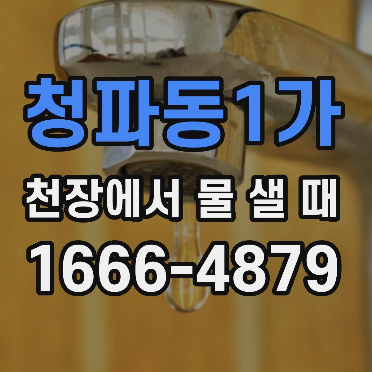 청파동1가 천장에서 물 샐 때