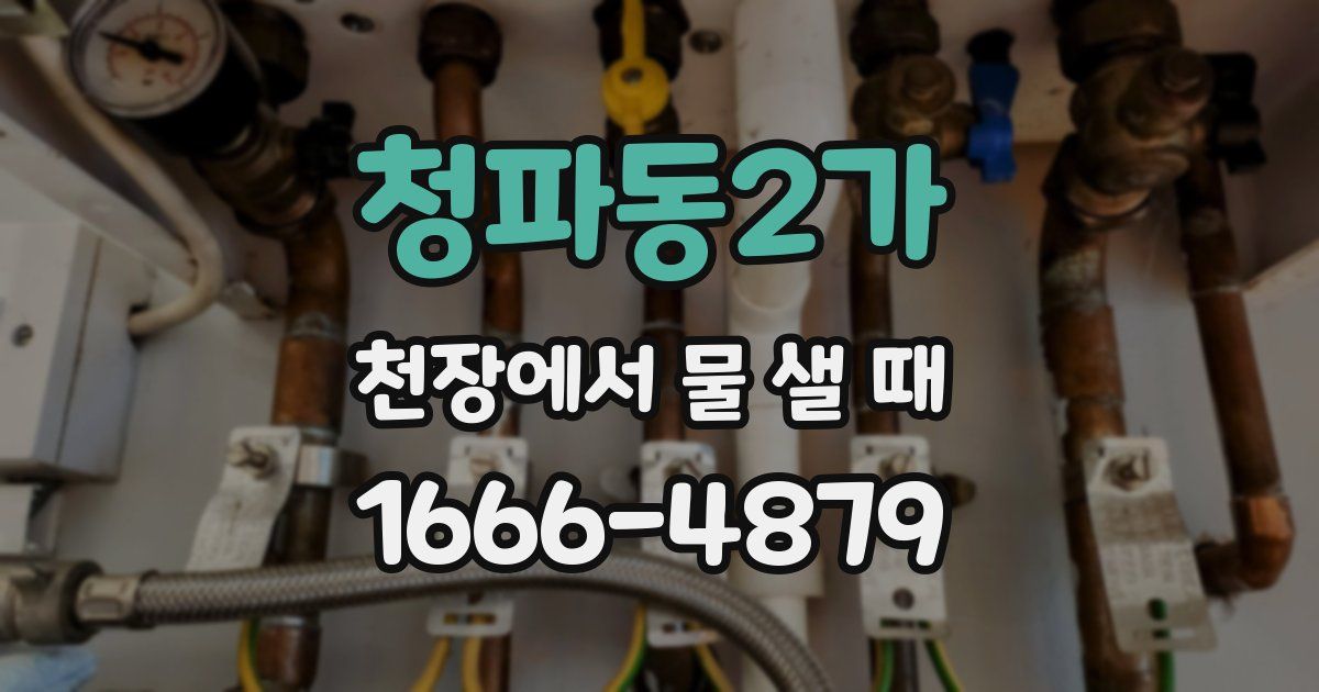 청파동2가 천장에서 물 샐 때