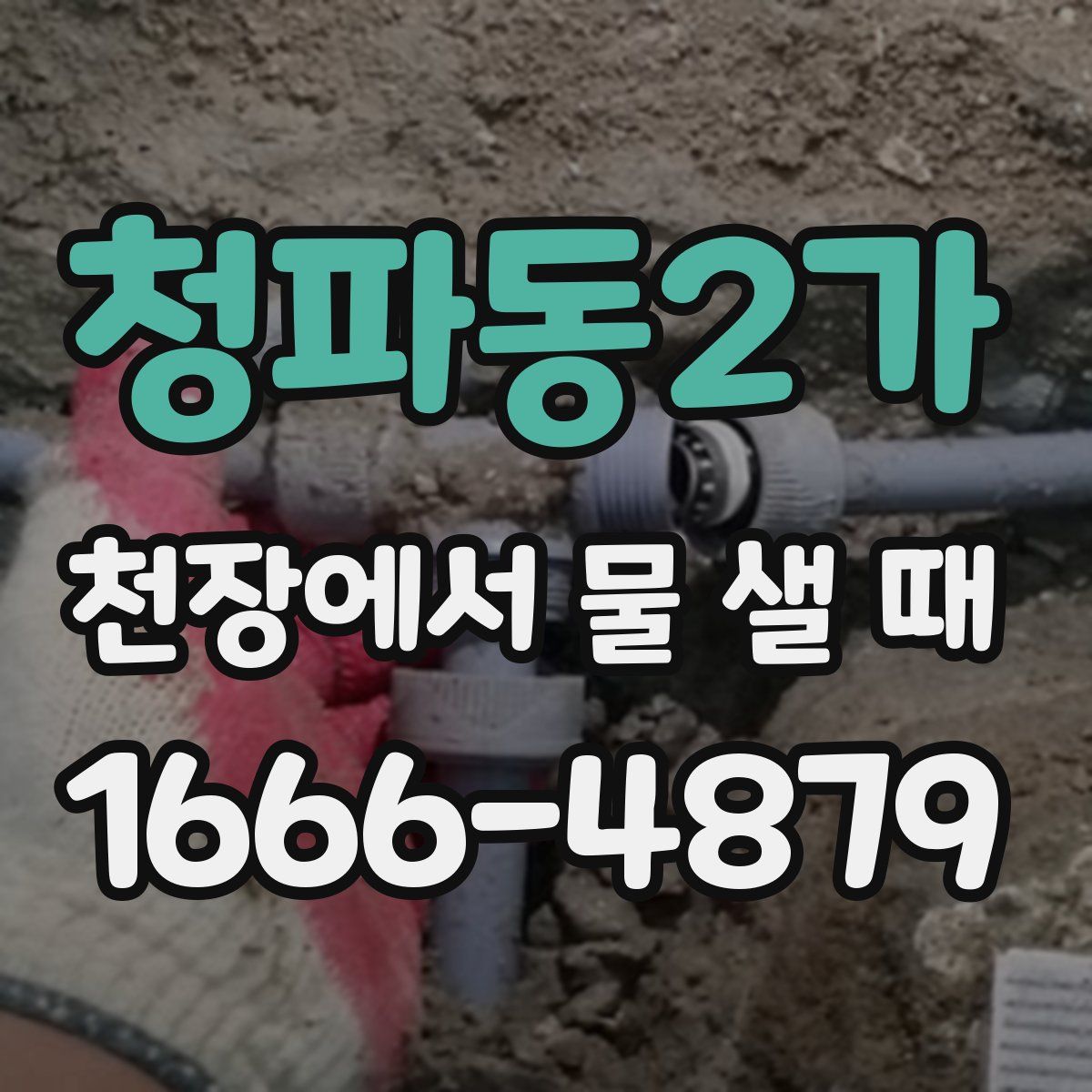 청파동2가 천장에서 물 샐 때