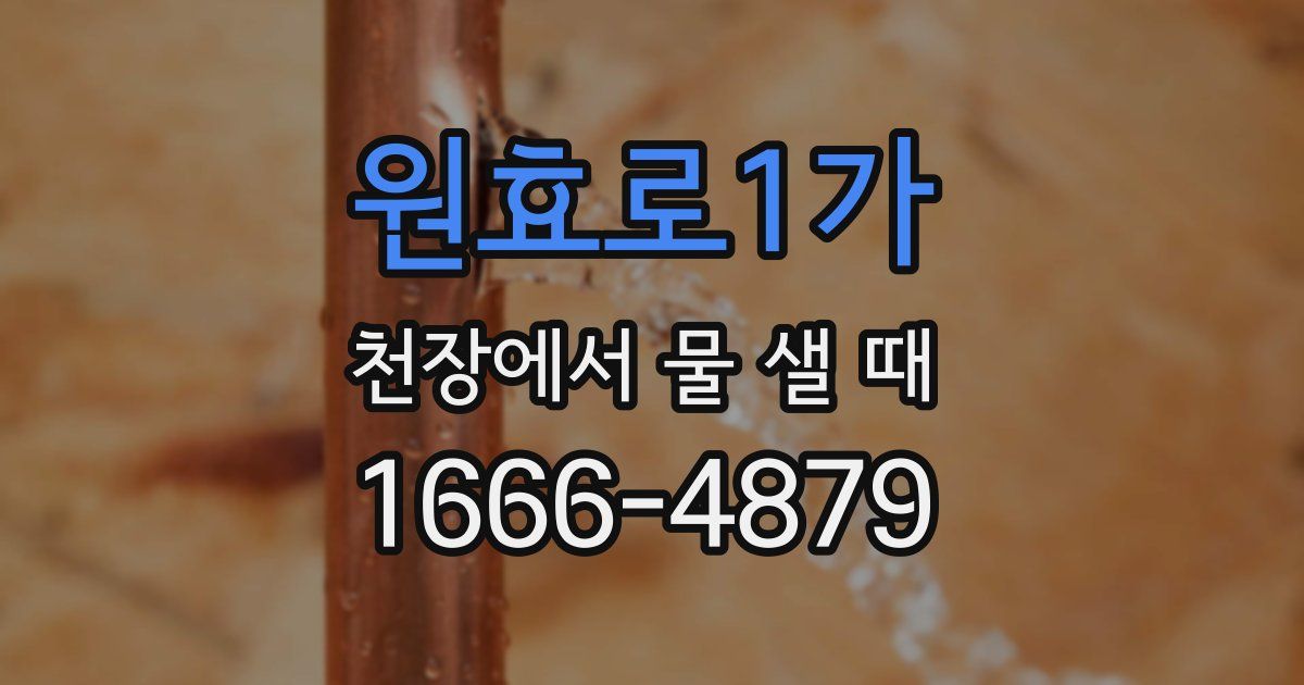 원효로1가 천장에서 물 샐 때