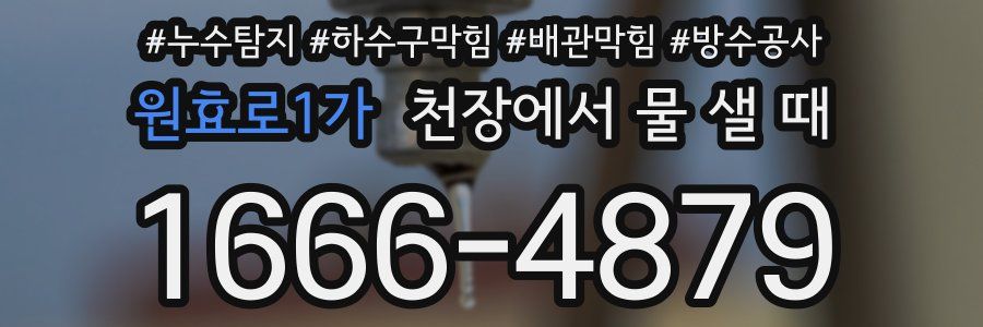 원효로1가 천장에서 물 샐 때